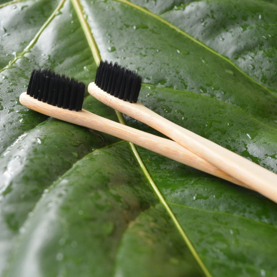 cepillo de diente bambu comprar